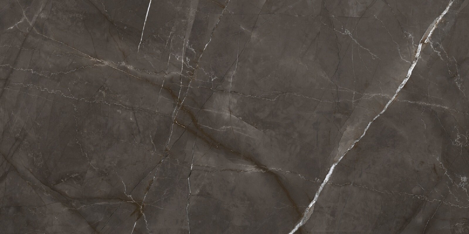 Изображение товара Керамогранит Laparet Timeless Marrone LP6012G0051R 59.5x119.1 см коричневый матовый мрамор