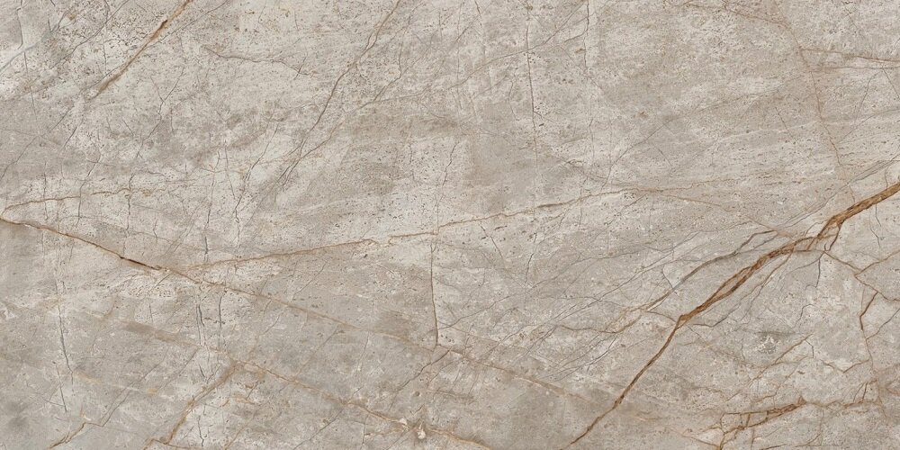 Изображение товара Керамогранит Atlas Concorde Empire Silver Root Matt 60x120 см серо-бежевый