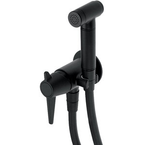 Изображение товара Гигиенический душ Deante Temisto BQT_N34M со смесителем черный матовый