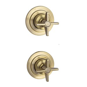 Изображение товара Смеситель для душа Deante Temisto BQT_M44P, PVD латунь