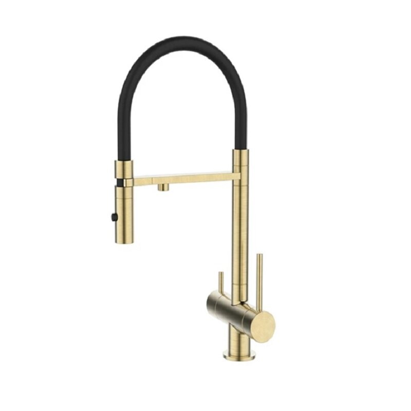 Изображение товара Кухонный смеситель DQ Kitchen DA1462507Gold с гибким изливом и подключением к фильтру Изображение товара Кухонный смеситель DQ Kitchen DA1462507Gold с гибким изливом и подключением к фильтру