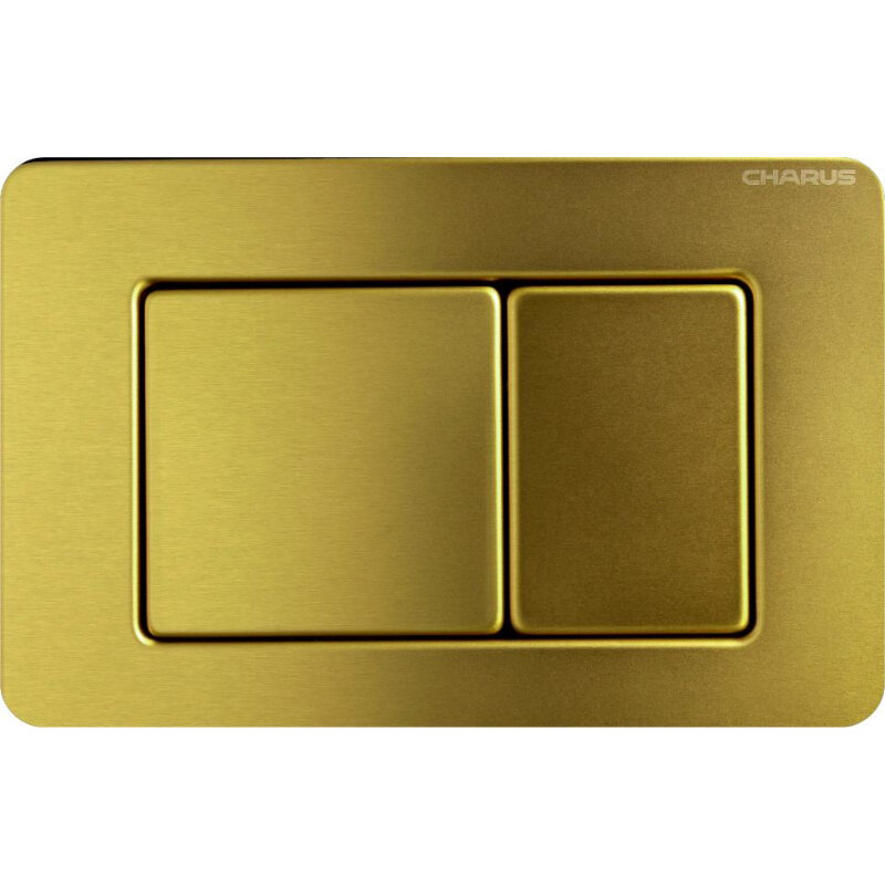 Изображение товара Клавиша для унитаза Charus Robusto FP.310.BG.05 металлическая механическая PVD золото брашированное