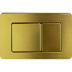 Изображение товара Клавиша для унитаза Charus Robusto FP.310.BG.05 металлическая механическая PVD золото брашированное