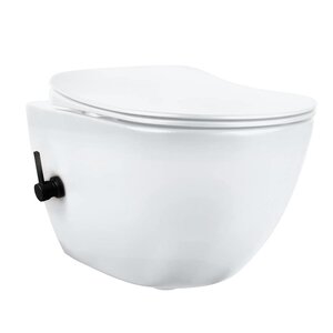 Изображение товара Подвесной унитаз безободковый с биде и крышкой Soft-Close Deante Peonia Zero CBP_6WPW