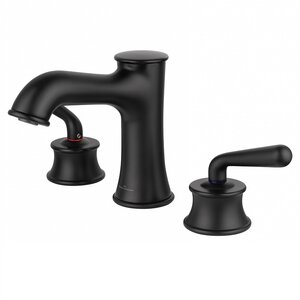 Изображение товара Современный смеситель для раковины Wonzon & Woghand WW-88159008-MB черный матовый с керамическим ка