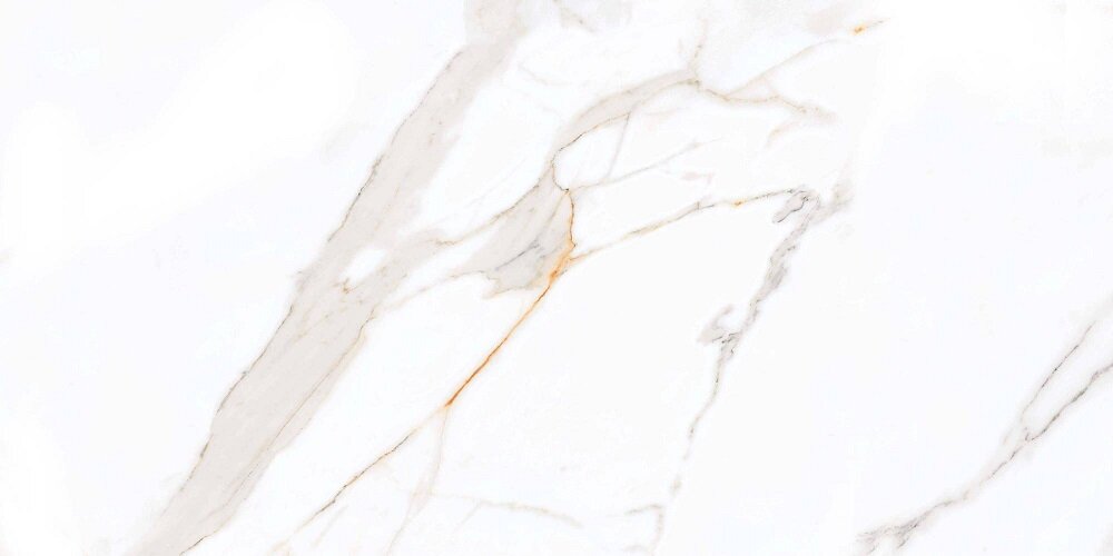 Изображение товара Керамогранит Primavera Regal Carara Polished 60x120 см PR203 Изображение товара Керамогранит Primavera Regal Carara Polished 60x120 см PR203