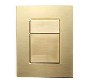 Изображение товара Клавиша смыва Wonzon & Woghand WW-IB256-BG, пневматическая, золото брашированное PVD