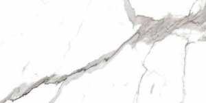 Изображение товара Керамогранит Primavera Salvatore Polished 60x120 см PR207