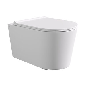 Изображение товара Унитаз подвесной Alice Form 22300109, безободковый, белый матовый