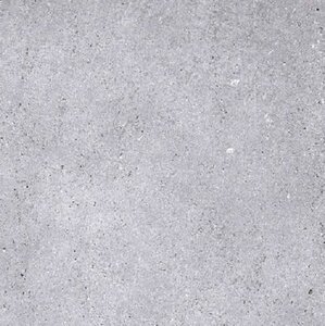 Изображение товара Керамогранит Primavera Nemo NR121 Light Grey, 60 x 60 см, светло-серый