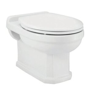 Изображение товара Подвесной унитаз Jaquar Queen's QNS-WHT-7951 с Soft Close