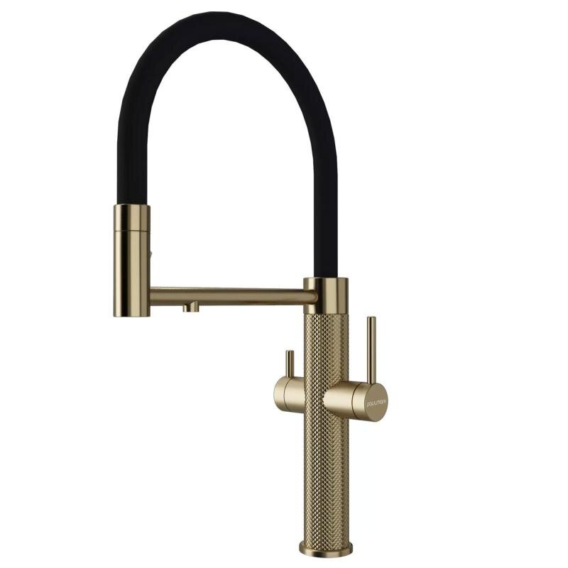 Изображение товара Смеситель для кухонной мойки Paulmark Nexus Diamond Nd613999-LG, с подключением к фильтру, PVD золото светлое
