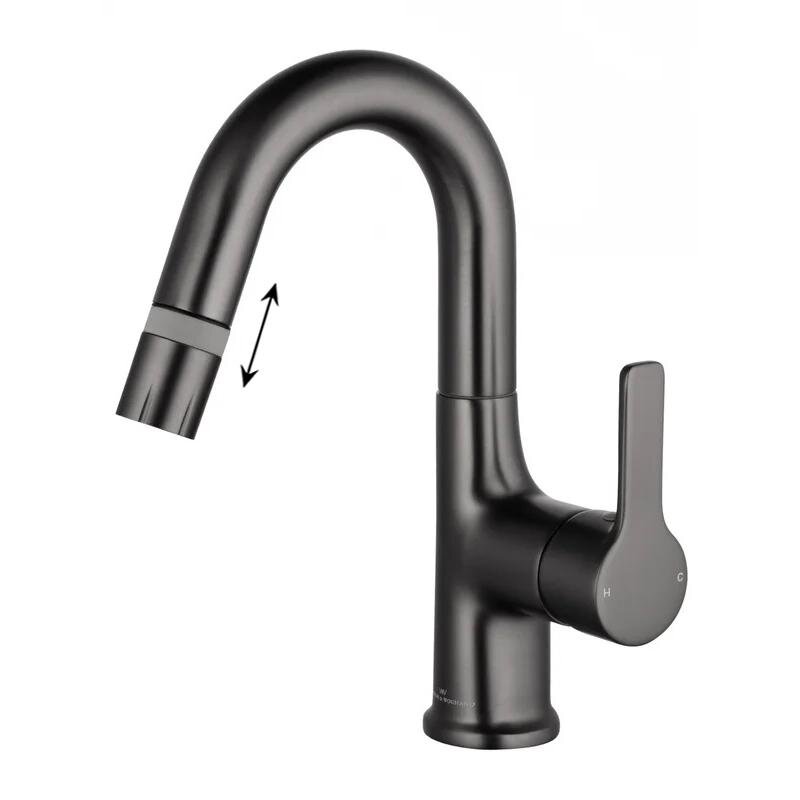 Изображение товара Смеситель для раковины Wonzon & Woghand WW-FE01L212-BGG, с выдвижным изливом, PVD темный графит