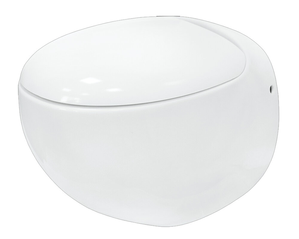 Изображение товара Подвесной унитаз Sanita Luxe Ringo WC.WH/Ringo/DM/WHT.G/S1 c крышкой-сиденьем Soft Close