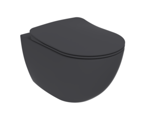Изображение товара Подвесной унитаз Creavit Free FE322-00AM00E-0000, безободковый, с функцией биде, антрацит матовый