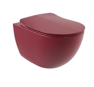 Изображение товара Creavit Free FE322-00BR00E-0000: подвесной безободковый унитаз с функцией биде, Berry matte