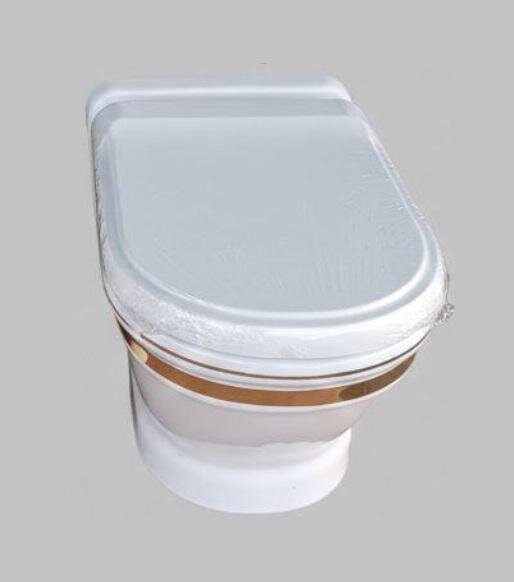 Изображение товара Подвесной унитаз Creavit Antik AN320-11CB00E-AD00, с функцией биде, белый/декор золото