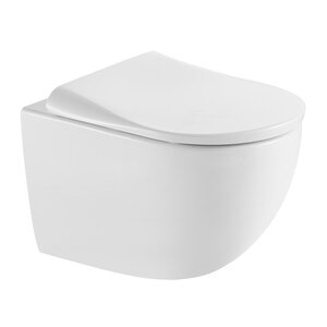 Изображение товара Подвесной унитаз Black&White Gravity 650W00, безободковый, крышка-сиденье с микролифтом, смыв торнадо, белый