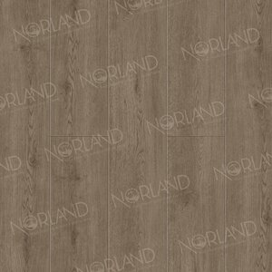 Изображение товара Виниловый ламинат SPC Norland Sigrid Plus 1006-3, планка 18.3 х 122 см, декор Flosi, замковый