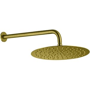 Изображение товара Верхний душ Allen Brau Priority 5.31017-GB, 25 см, с держателем, цвет золото браш