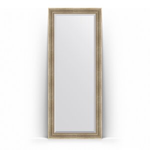 Изображение товара Зеркало в багетной раме Evoform Exclusive Floor BY 82x202 см, серебряный акведук