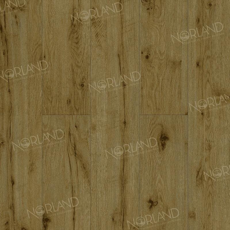 Изображение товара Ламинат Norland Elegant LF301-14, планка 19.8 х 122 см, декор дуб скай, замковый, 8 мм Изображение товара Ламинат Norland Elegant LF301-14, планка 19.8 х 122 см, декор дуб скай, замковый, 8 мм