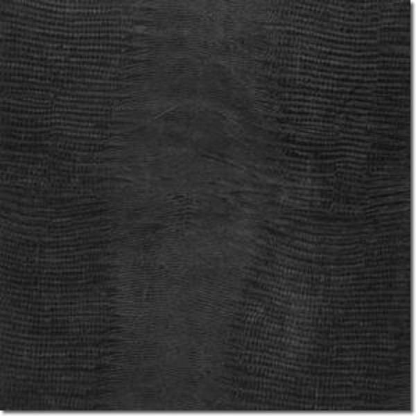 Изображение товара Плитка Kerama Marazzi Аллигатор 4525 50,2x50,2 см глянцевая чёрный пол