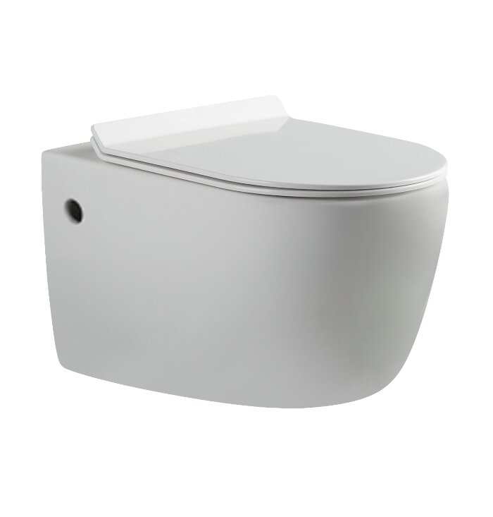 Изображение товара Подвесной унитаз Aquanet Cetus BL-102N-WHT (203345), крышка микролифт Slimseat BL-005, белый