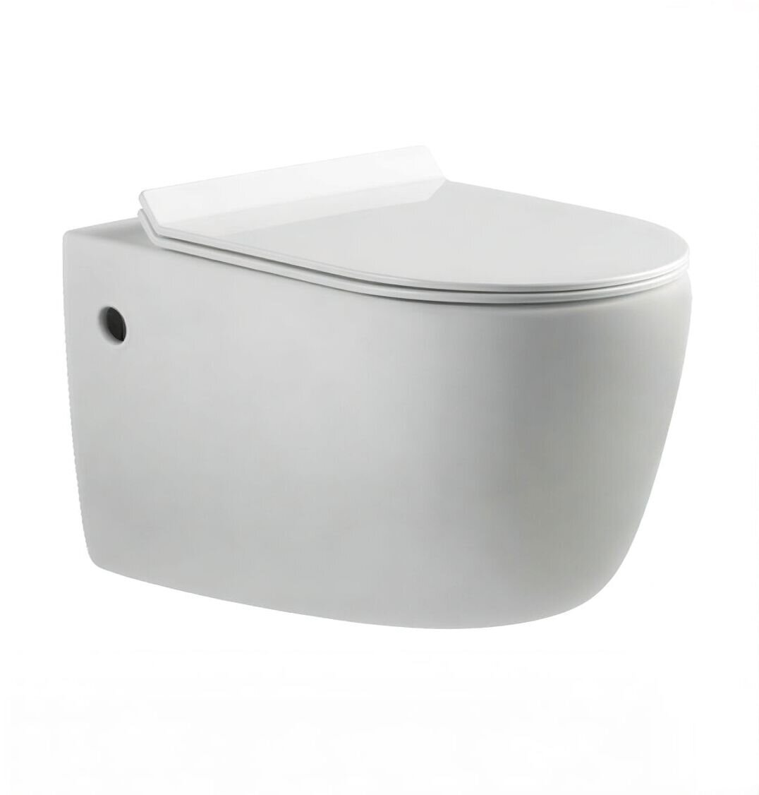 Изображение товара Подвесной унитаз Aquanet Cetus BL-102N-WHT (203345), крышка микролифт Slimseat BL-005, белый