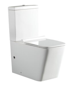 Изображение товара Напольный безободковый унитаз Aquanet Tavr-C1 BL-103N-TPT с бачком 203347, цвет белый