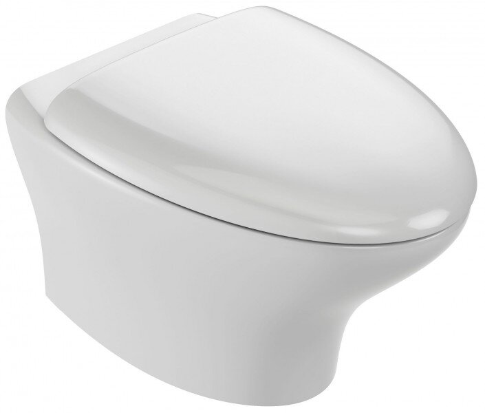 Изображение товара Подвесной унитаз Jacob Delafon Nouvelle Vague EDJ102-00 безободковый белый фарфор