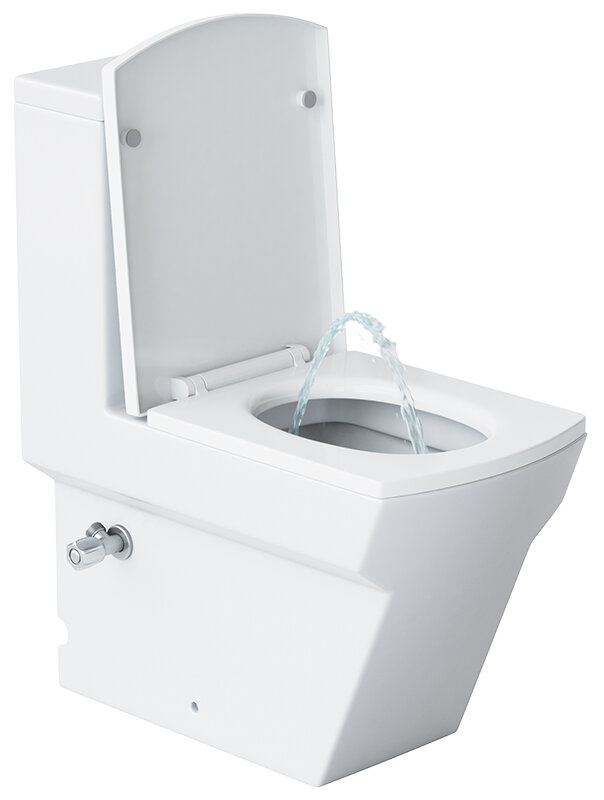 Изображение товара Напольный унитаз Laguraty 2192AС с функцией биде и двойным смывом