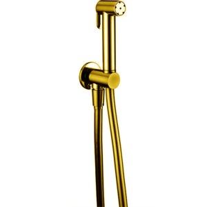 Изображение товара Гидроершик Cisal Shower A300791024 со шлангом 120 см, вывод с держателем, золото