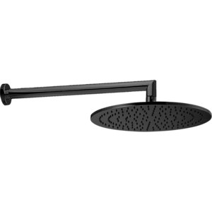 Изображение товара Верхний душ Cisal Shower, D300 мм, 1 режим струи, с настенным держателем L400 мм, черный матовый (DS01362040)