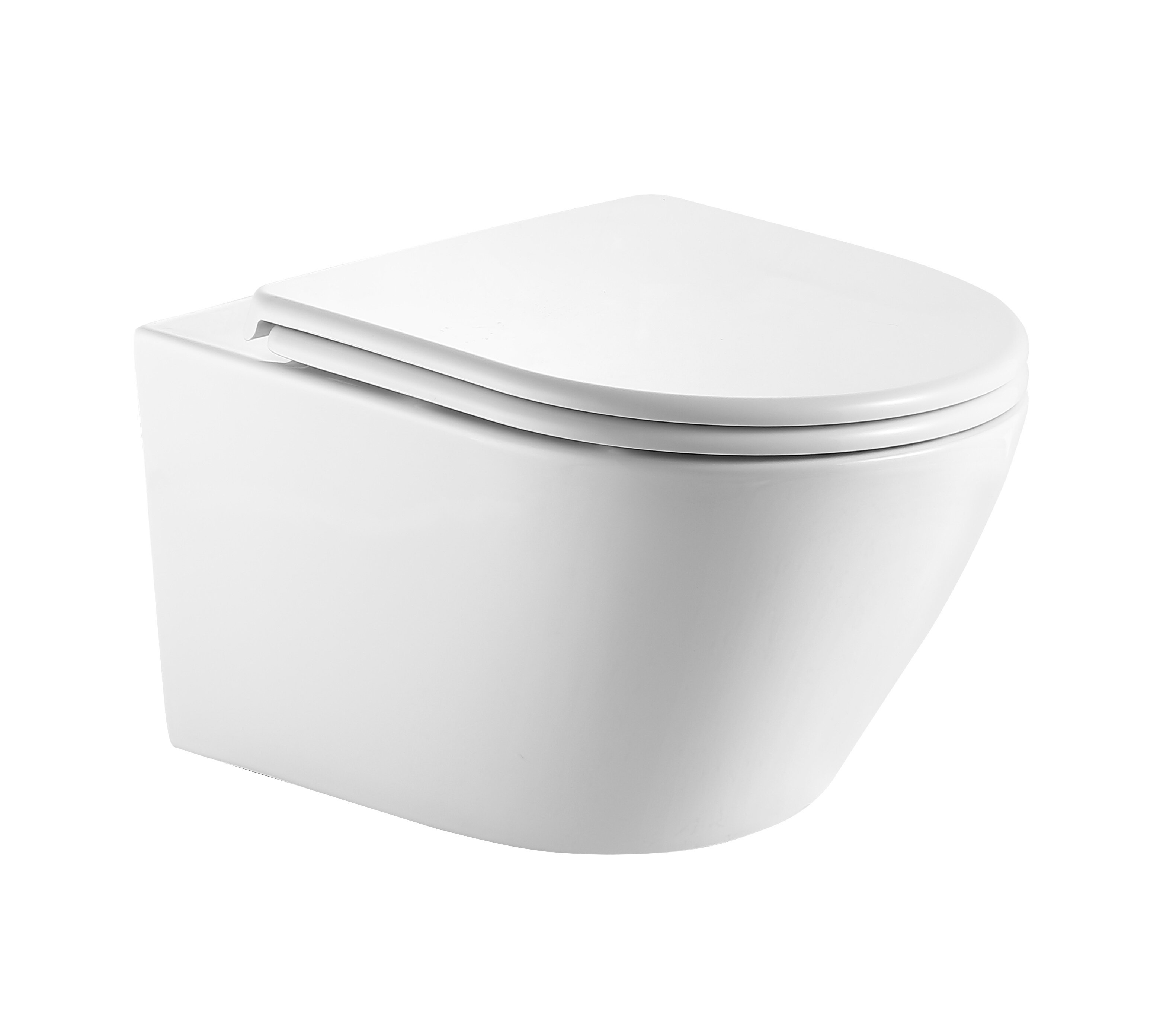 Изображение товара Подвесной унитаз Aquanet Cetus 3.0 W Full Size 354303, безободковый, смыв торнадо, крышка микролифт, белый Изображение товара Подвесной унитаз Aquanet Cetus 3.0 W Full Size 354303, безободковый, смыв торнадо, крышка микролифт, белый
