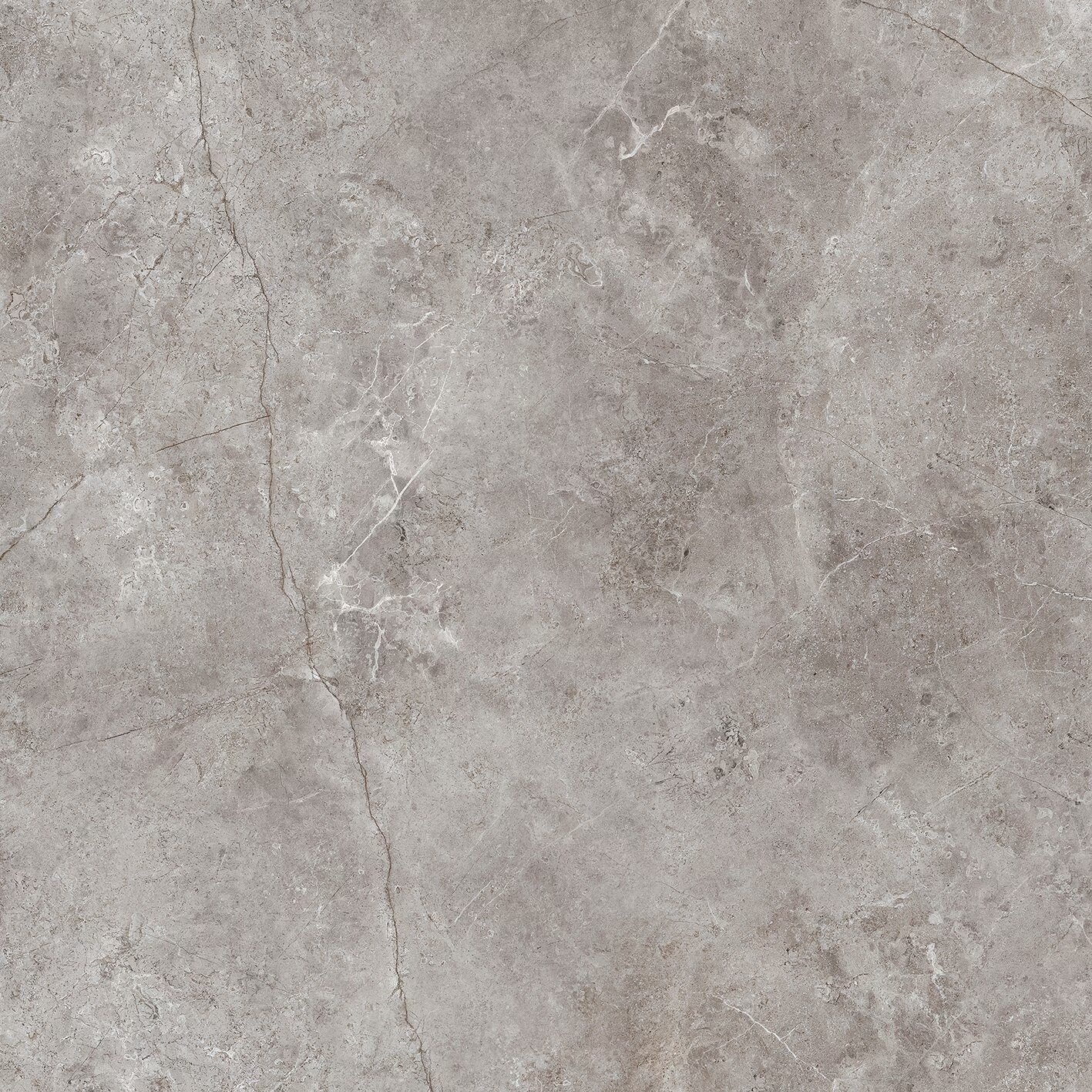 Изображение товара Керамогранит Porcelanosa Fiori Di Bosco 120х120 смматовый серый для пола и стен Изображение товара Керамогранит Porcelanosa Fiori Di Bosco 120х120 смматовый серый для пола и стен