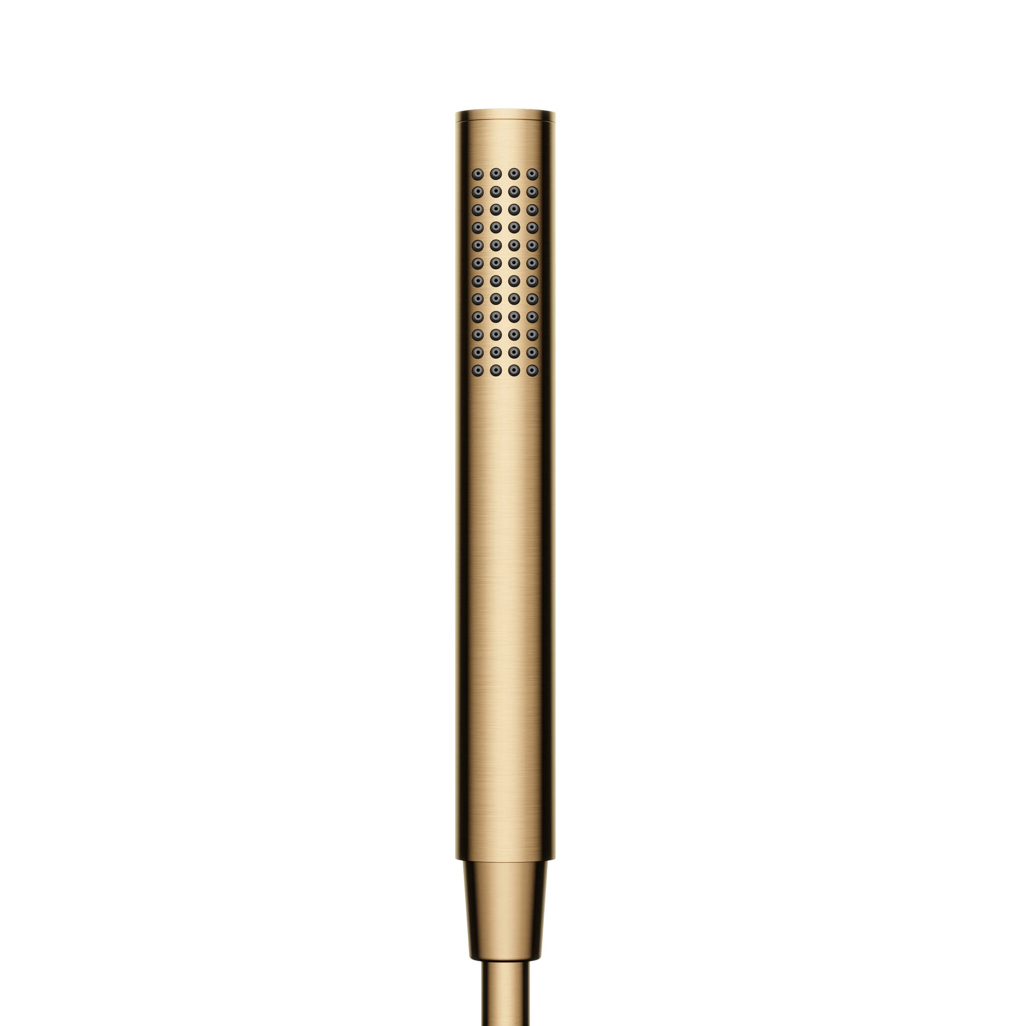Изображение товара Душевая лейка Sancos Ветвь SC9036BB, 1 режим, PVD бронза брашированная