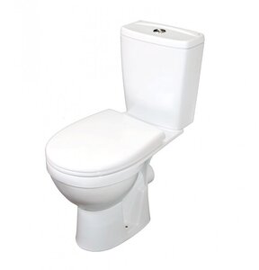 Изображение товара Напольный унитаз Rosa Рио Вн УнБ54 крышка стандарт