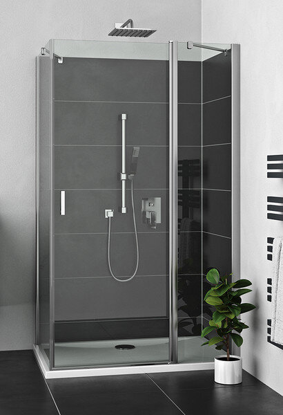 Изображение товара Душевой уголок Roltechnik Proxima Line 100x90 прямой with распашная дверь