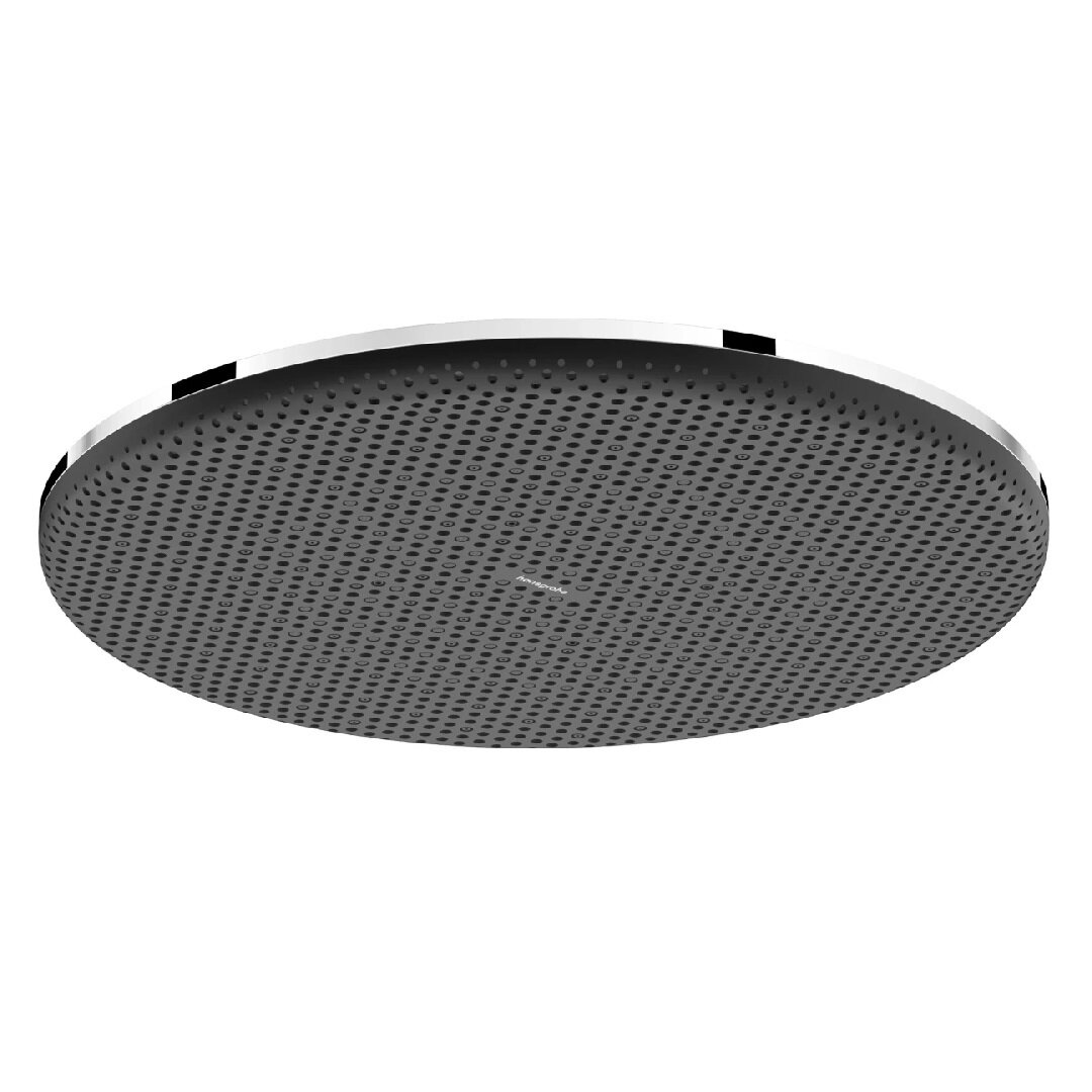 Изображение товара Верхний душ Hansgrohe Raindance Alive 24520000, 30 см, хром Изображение товара Верхний душ Hansgrohe Raindance Alive 24520000, 30 см, хром