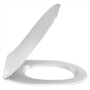 Изображение товара Крышка-сиденье Jacob Delafon Odeon Rive Gauche E24889-00 с микролифтом