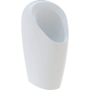 Изображение товара Писсуар Geberit Selva 116.081.00.1 без воды, компактный и универсальный