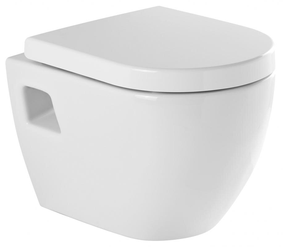 Изображение товара Подвесной унитаз Sanindusa Sanibold 137932004 с микролифтом