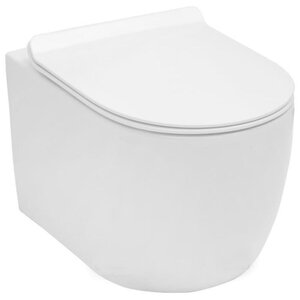 Изображение товара Подвесной безободковый унитаз Aquanet Rimless Cetus-W BL-102N-WHT (211908), крышка микролифт Slimseat, цвет белый