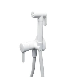 Изображение товара Гигиенический душ Webert Sax Evolution, SE870303740, со смесителем, белый