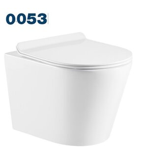 Изображение товара Подвесной унитаз Azario Teramo 0053 безободковый с крышкой-сиденьем микролифт