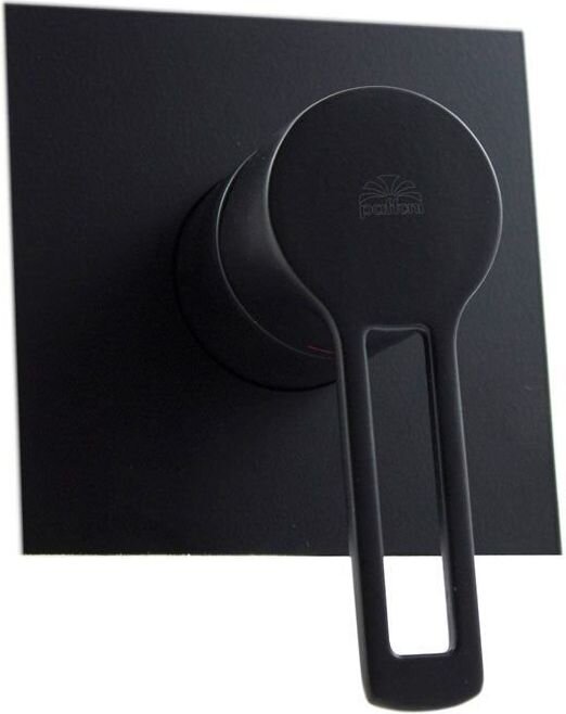 Изображение товара Смеситель Paffoni Ringo RIN010NO/M для душа, черный матовый 