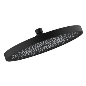 Изображение товара Верхний душ Iddis SpaHome SPA26BPi64 черный с оригинальными форсунками