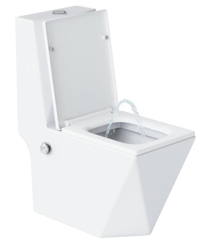 Изображение товара Напольный унитаз моноблок Laguraty 071AC с функцией биде