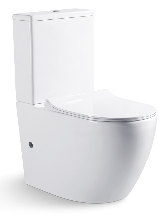 Изображение товара Напольный безободковый унитаз Bravat Gina CX01008UW-PA-ENG белый компактный Германия